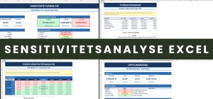 Sensitivitetsanalyse Excel