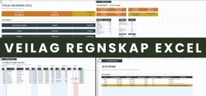 Veilag Regnskap Excel – komplett mal for regnskap og kostnadsfordeling i veilag