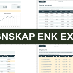 Regnskap ENK Excel